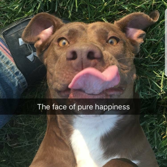 Meet your Posher, Brandi - Picture 5 of 12